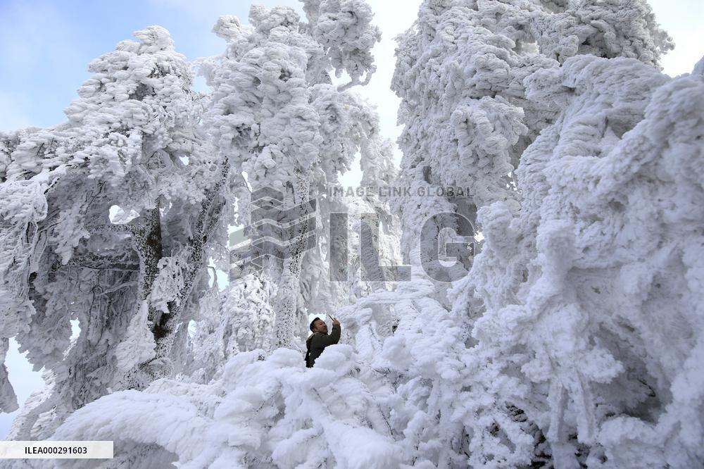 China Winter Rime Landscape