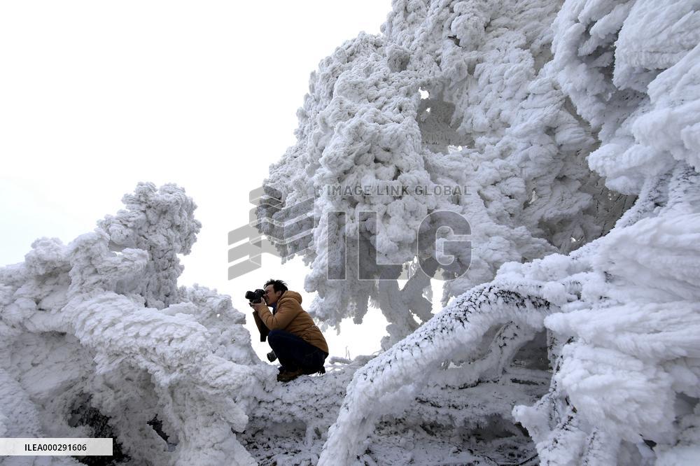 China Winter Rime Landscape