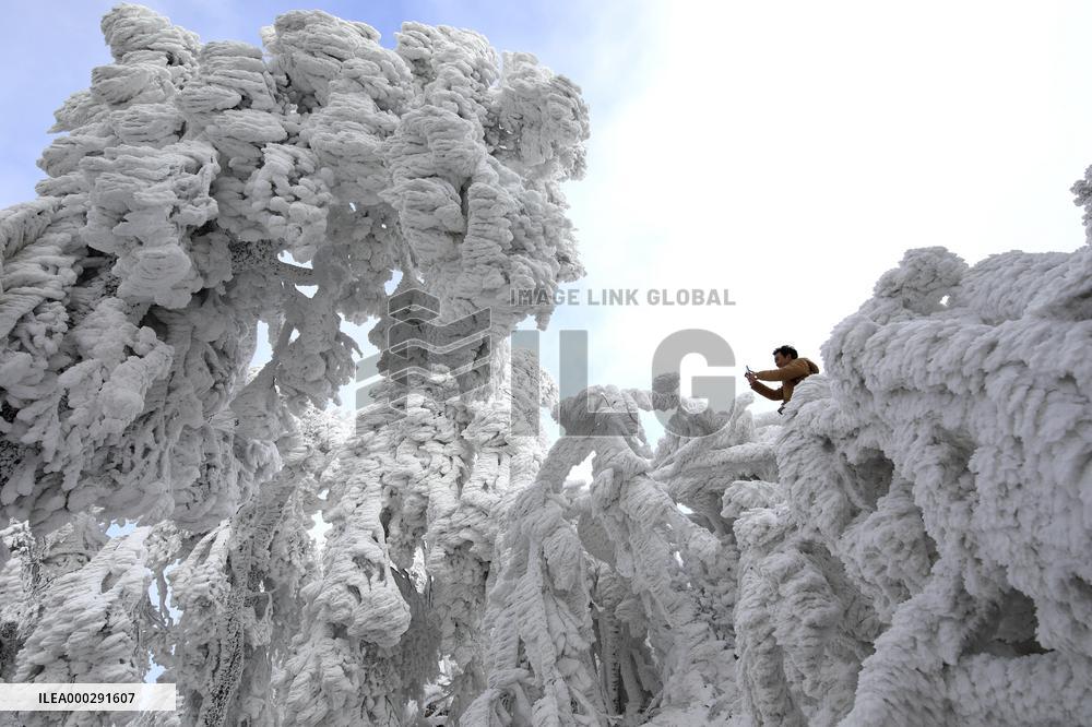 China Winter Rime Landscape