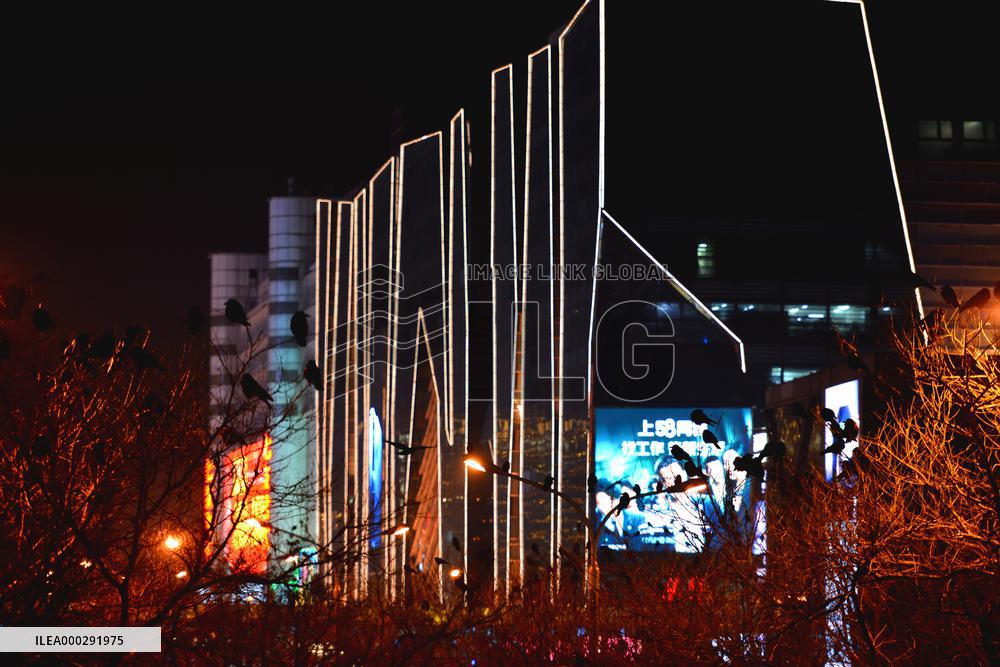 The Mysterious Crow Gathering Place in Beijing
