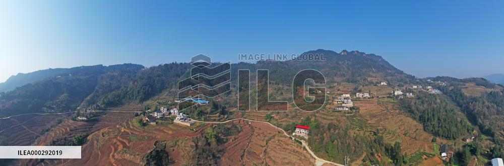 Aerial Photography Tea Garden New Base