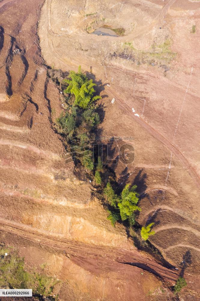 Aerial Photography Tea Garden New Base