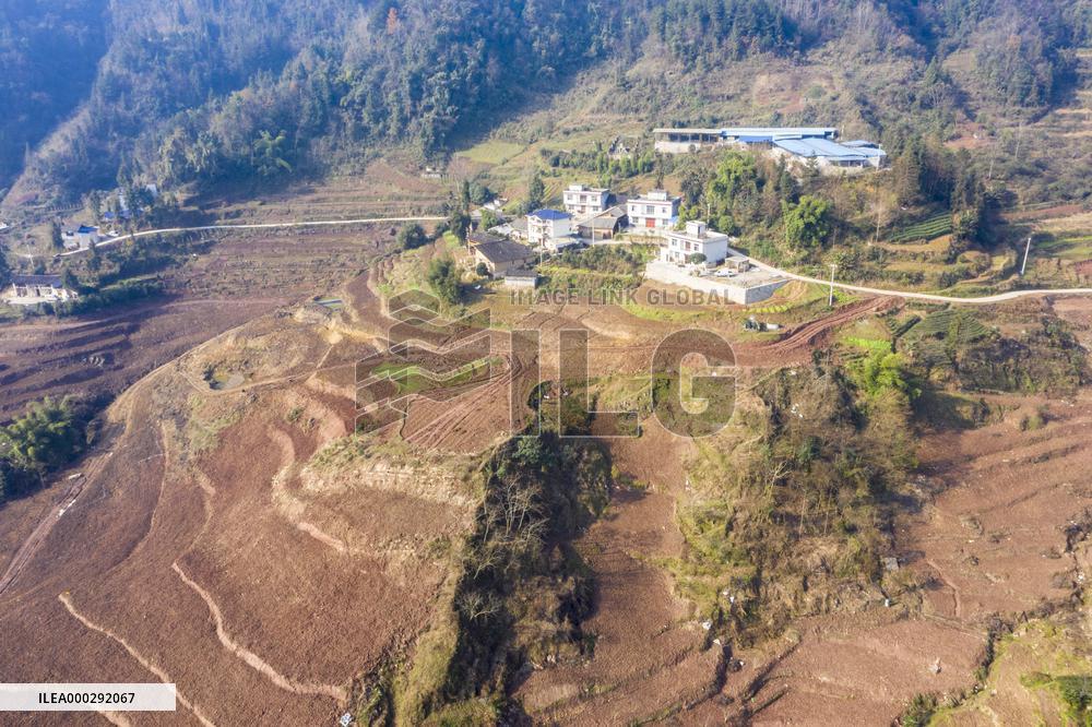 Aerial Photography Tea Garden New Base
