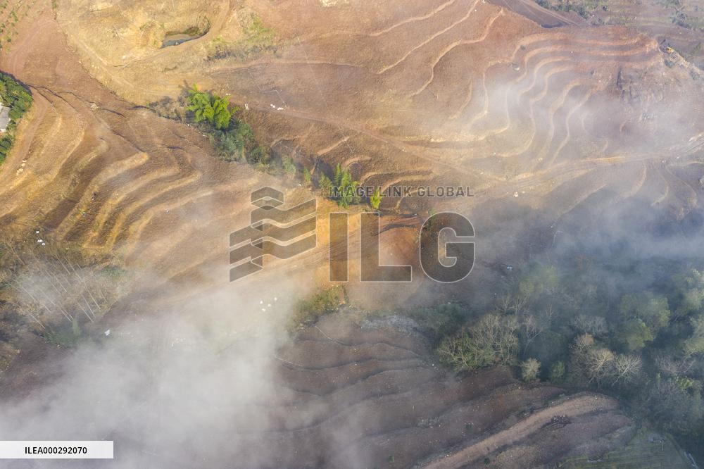 Aerial Photography Tea Garden New Base