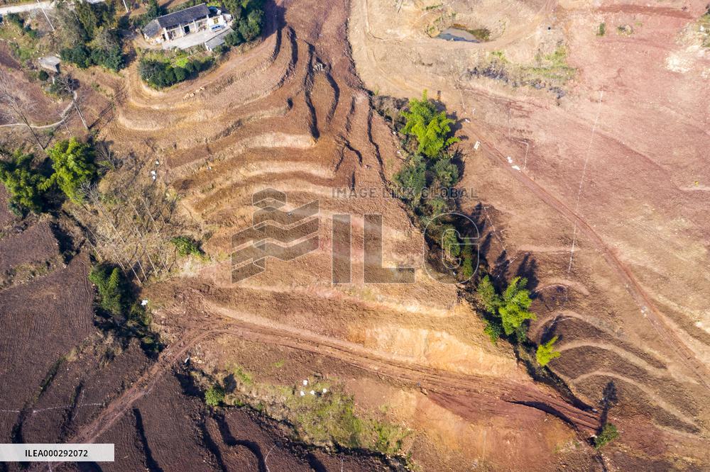 Aerial Photography Tea Garden New Base