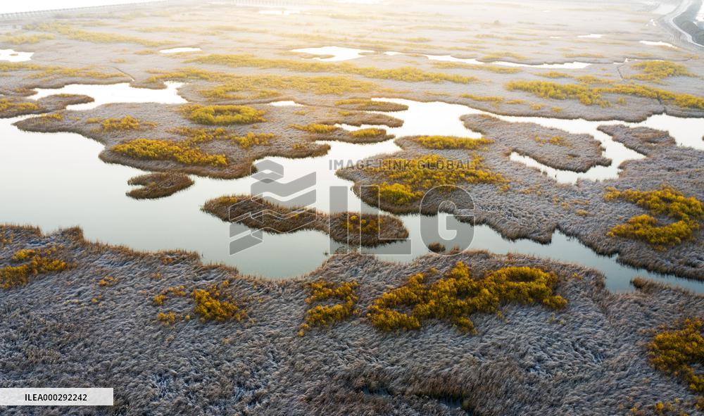China Winter Natural Environment