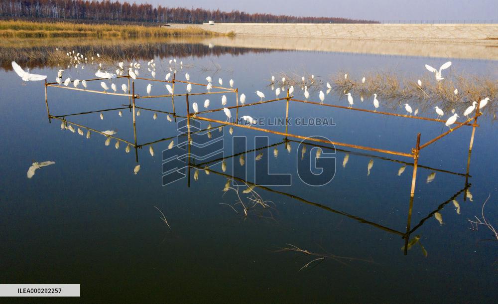 China Winter Natural Environment