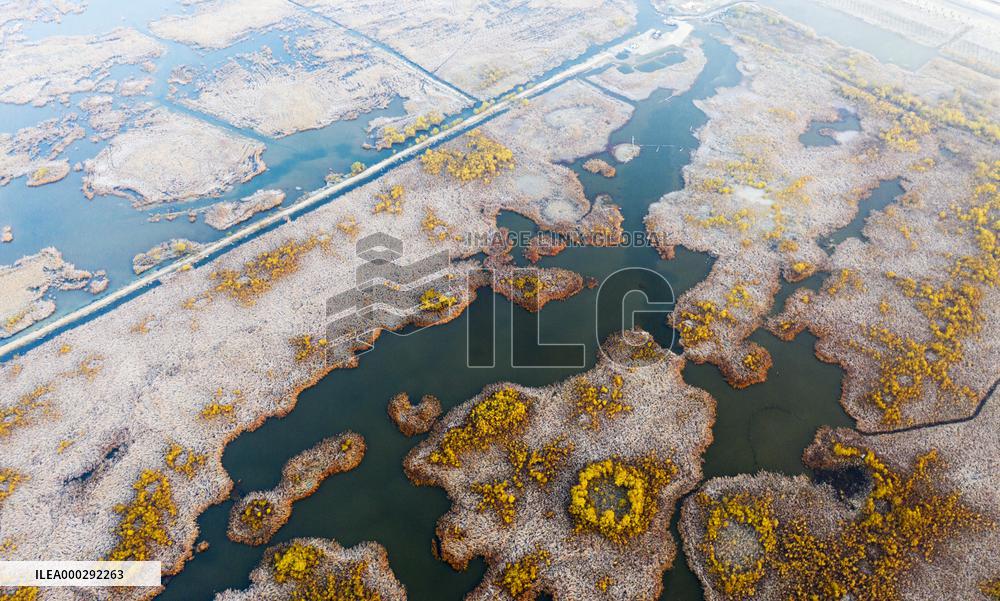China Winter Natural Environment