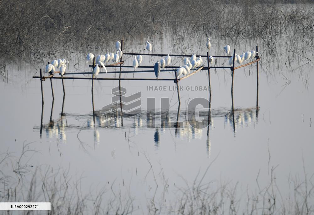 China Winter Natural Environment