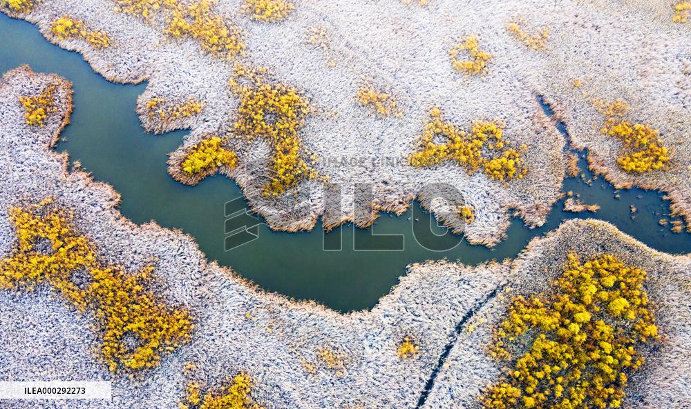 China Winter Natural Environment