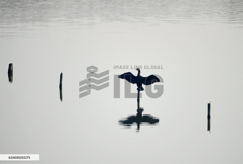 China Winter Natural Environment