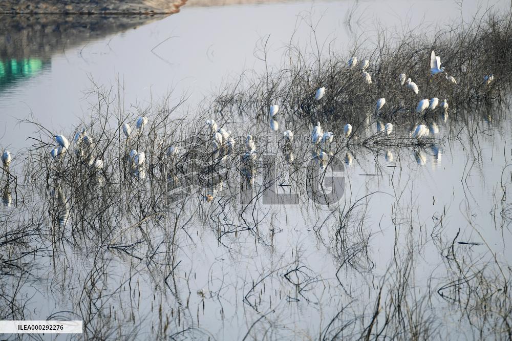 China Winter Natural Environment