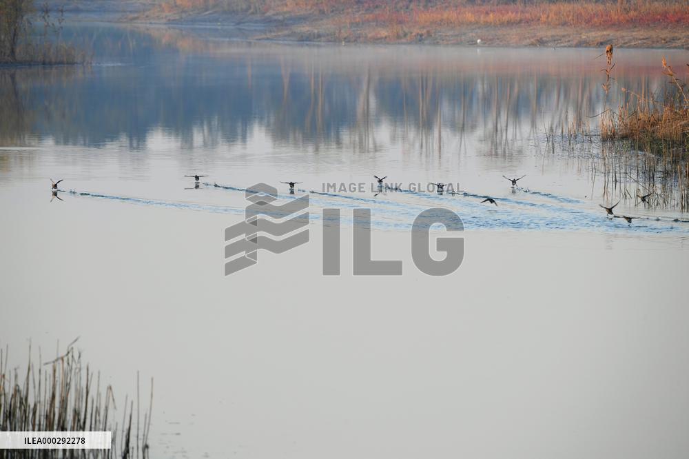 China Winter Natural Environment