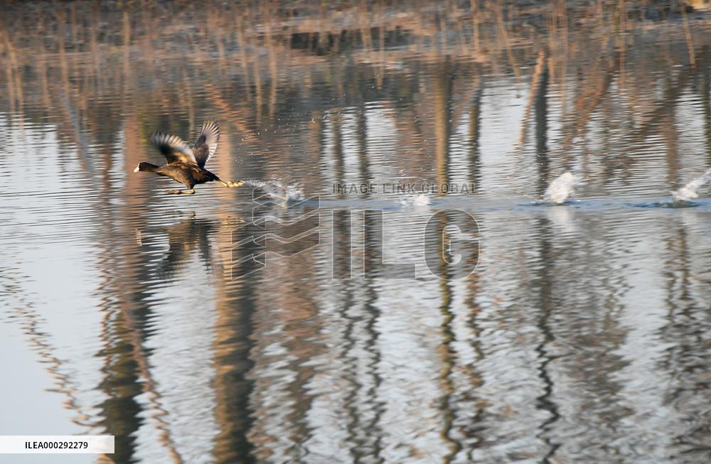 China Winter Natural Environment