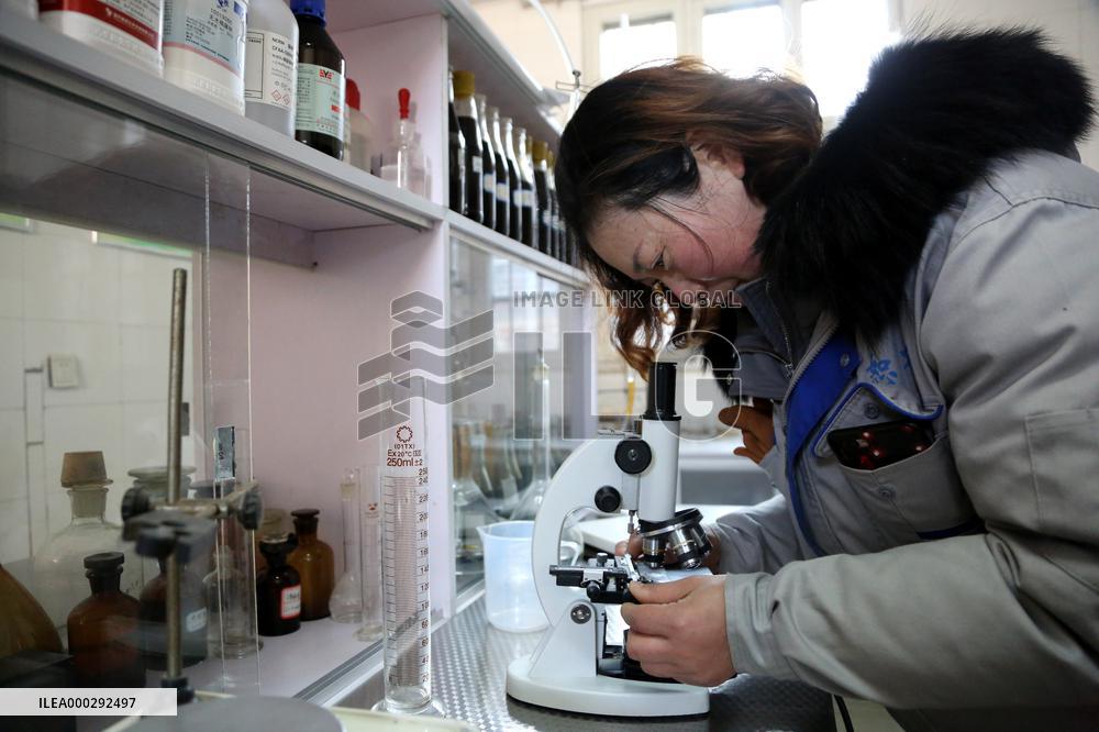 Intangible Cultural Heritage Vinegar Brewing