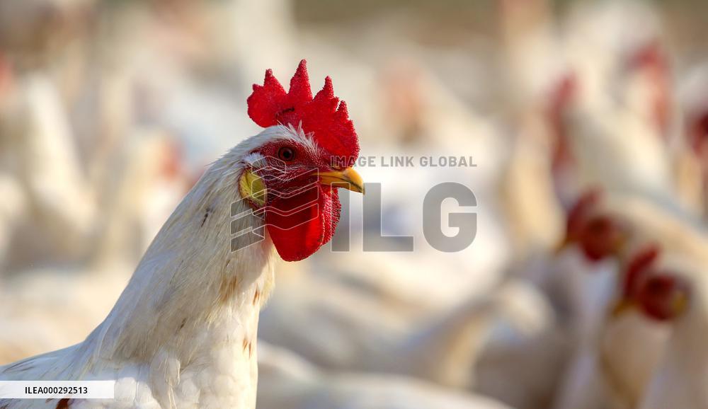 Farmer Poverty Alleviation