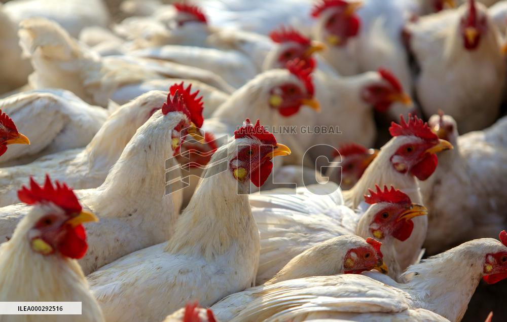 Farmer Poverty Alleviation