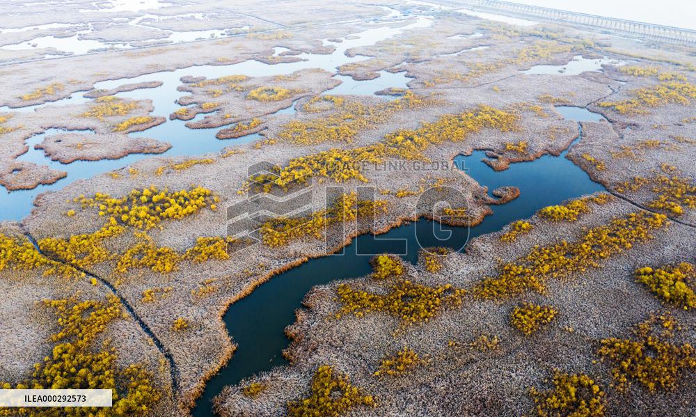 China Winter Natural Environment