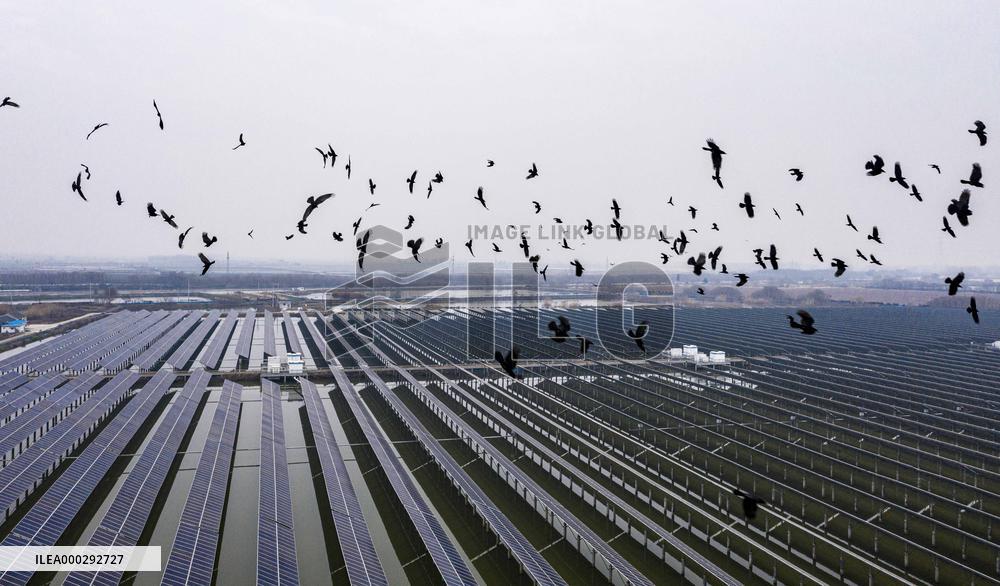 Photovoltaic Power Station Fishing