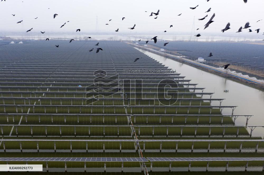 Photovoltaic Power Station Fishing