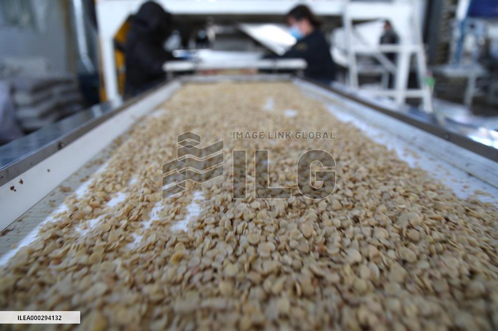 Almond Syrup Production