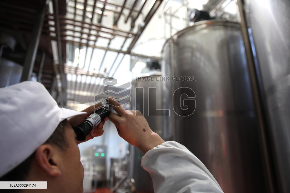 Almond Syrup Production