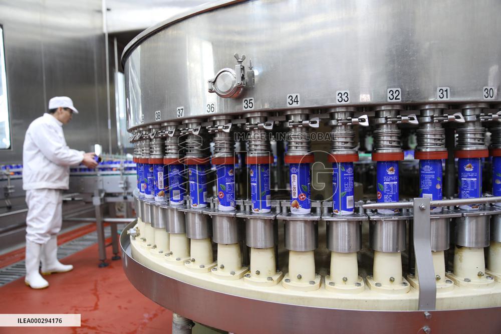 Almond Syrup Production