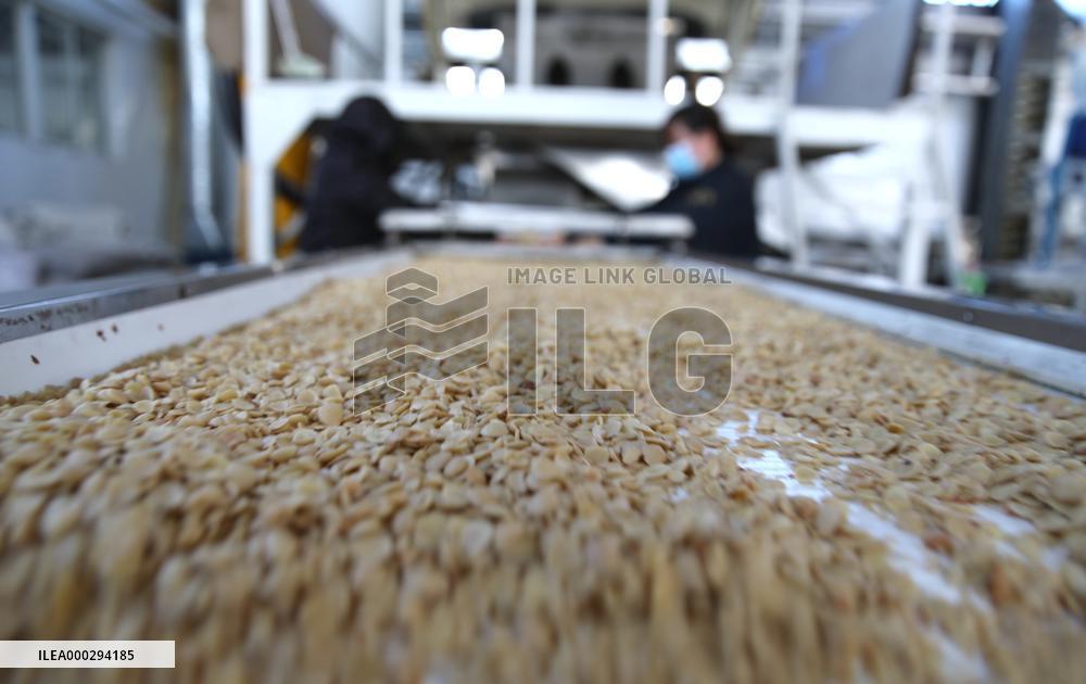 Almond Syrup Production