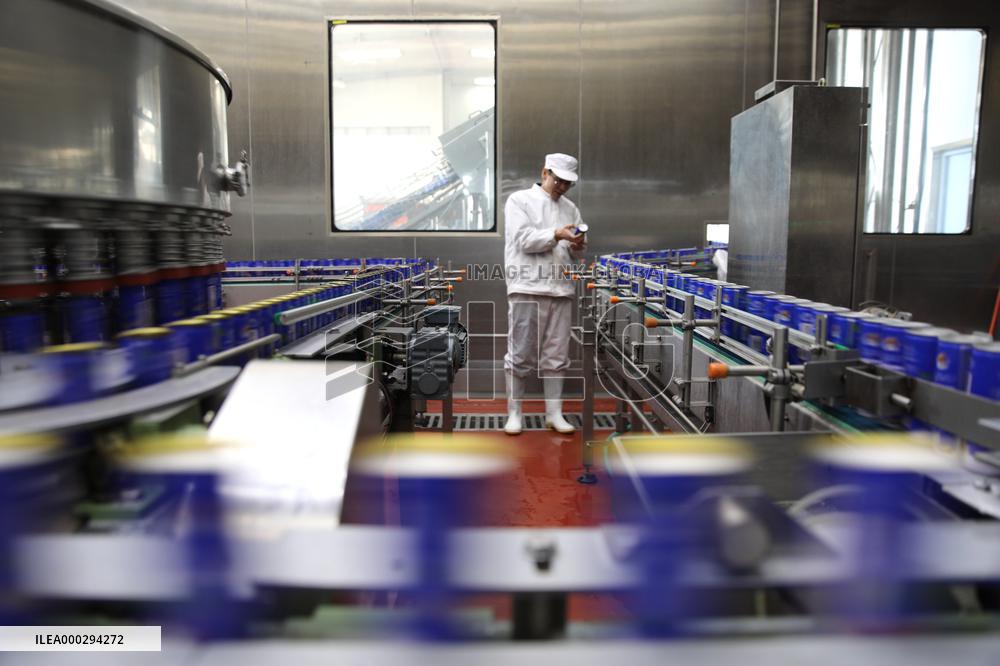 Almond Syrup Production