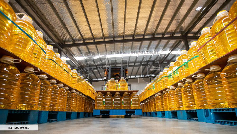 Edible Oil Production