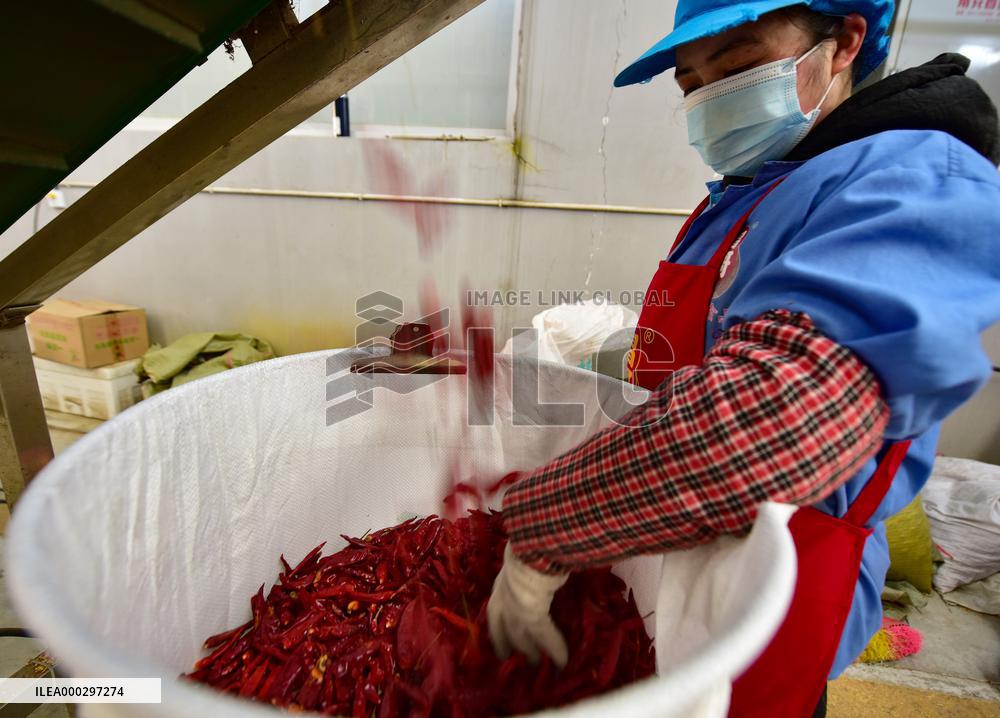 Pepper Products Production
