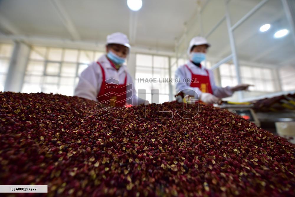 Pepper Products Production