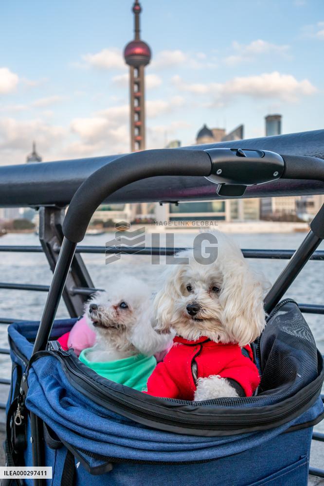 Daily Life In Shanghai