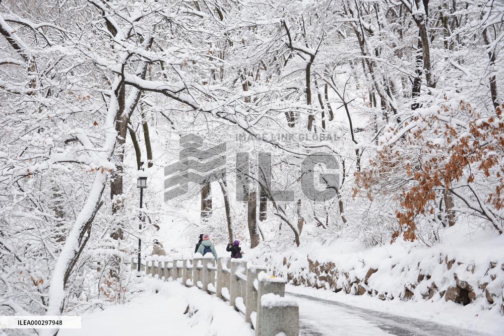 The First Snow In Jilin City
