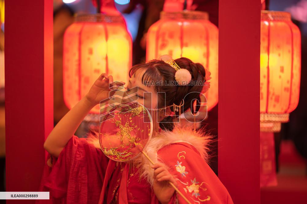 Chinese Spring Festival Decoration