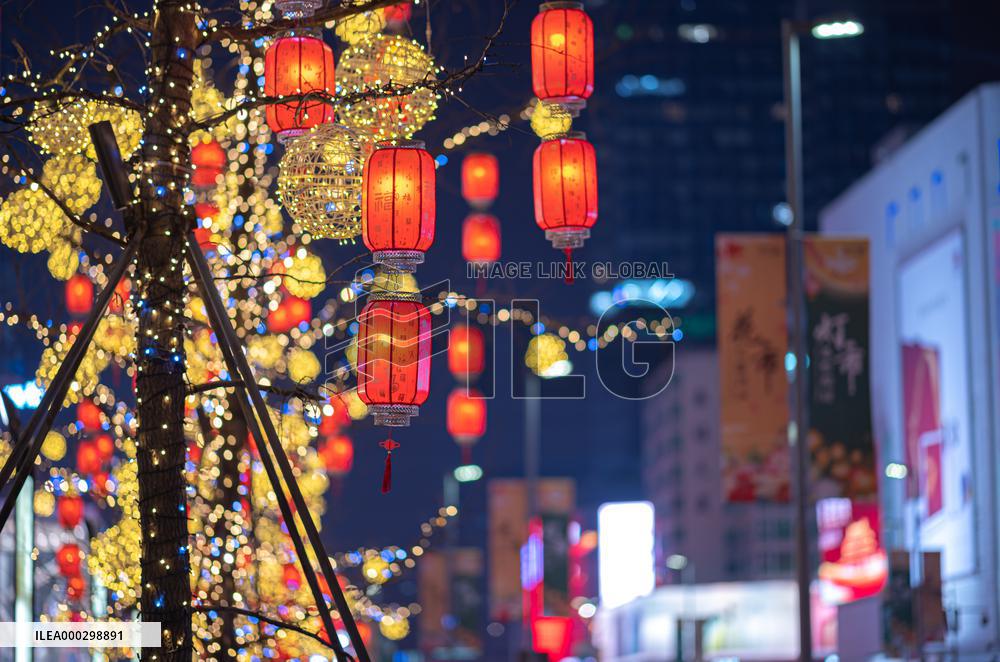 Chinese Spring Festival Decoration