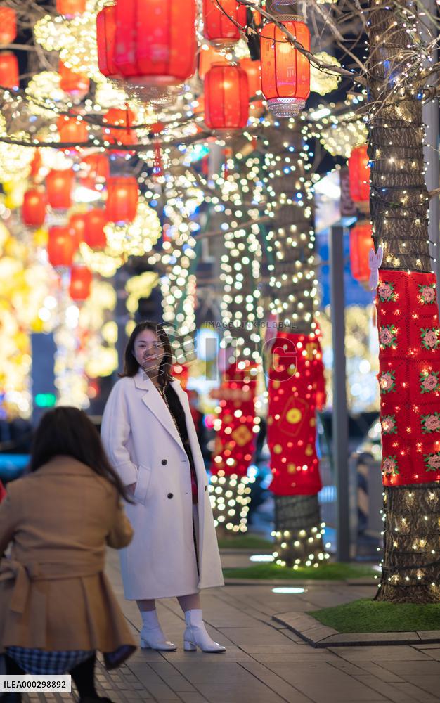 Chinese Spring Festival Decoration