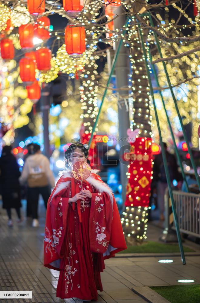 Chinese Spring Festival Decoration