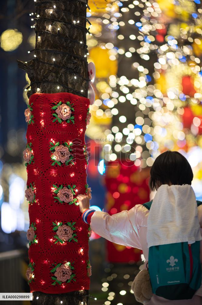 Chinese Spring Festival Decoration