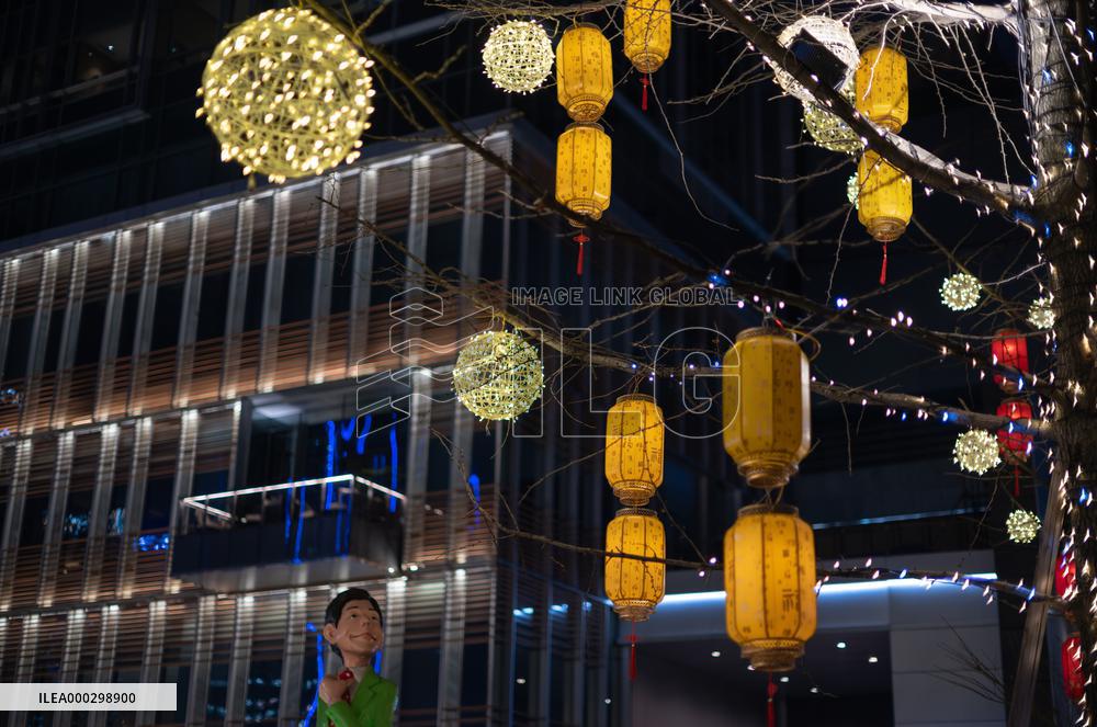 Chinese Spring Festival Decoration