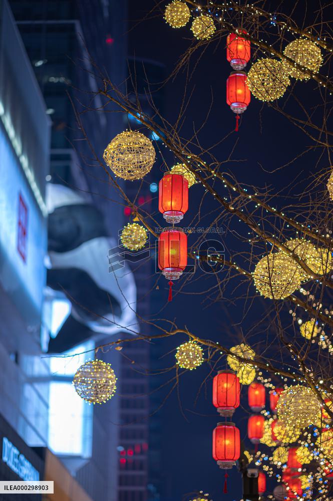 Chinese Spring Festival Decoration