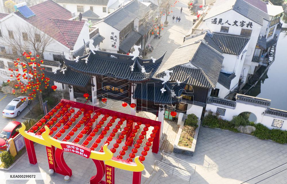Chinese Spring Festival Decoration