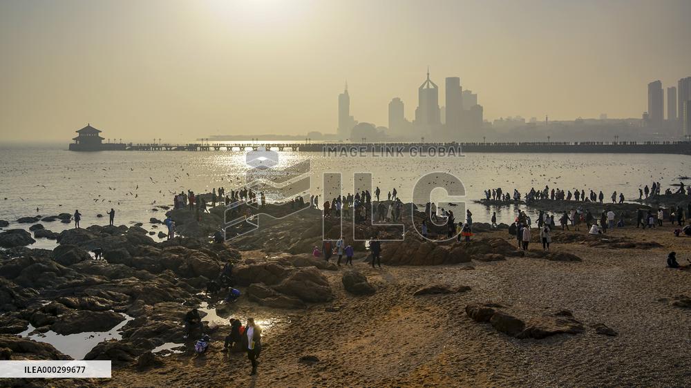 Tourists Watch Seagulls