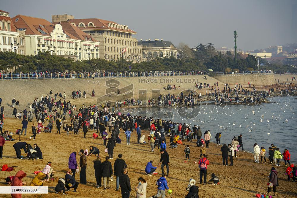 Tourists Watch Seagulls