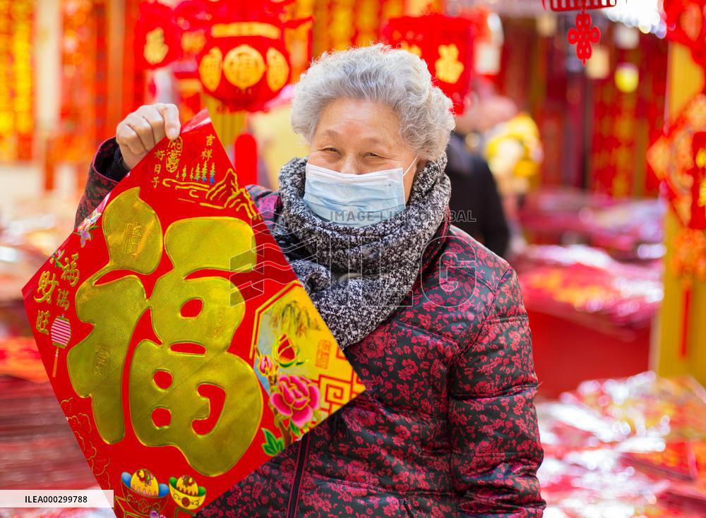 Chinese Spring Festival Decoration
