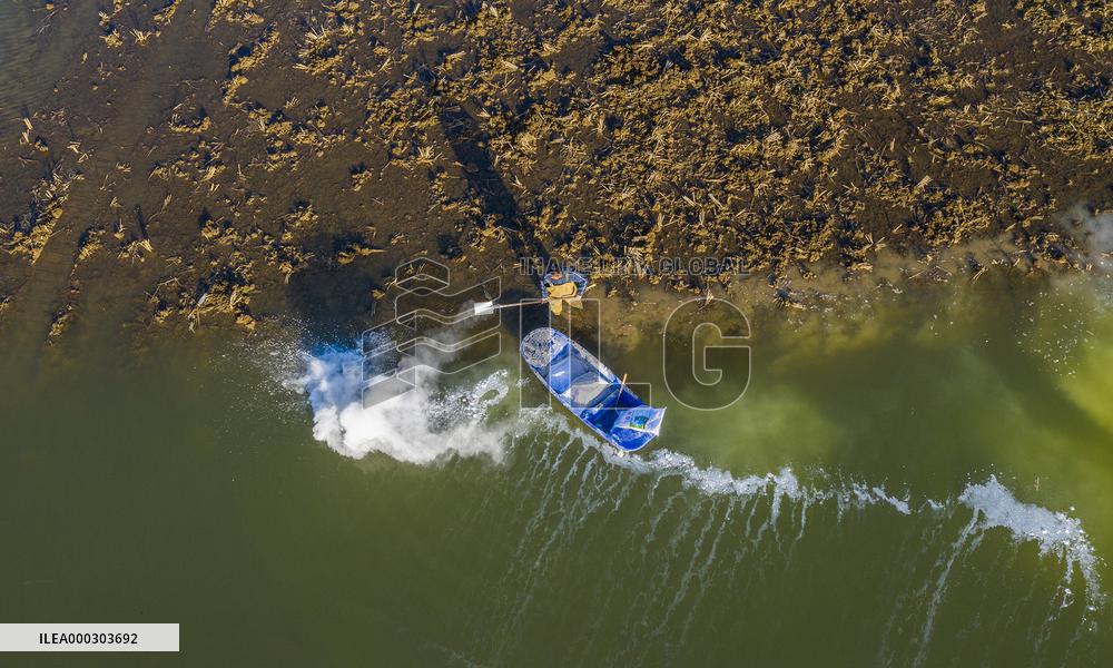 Rural Revitalization Strategy