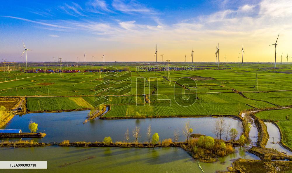 Rural Revitalization Strategy