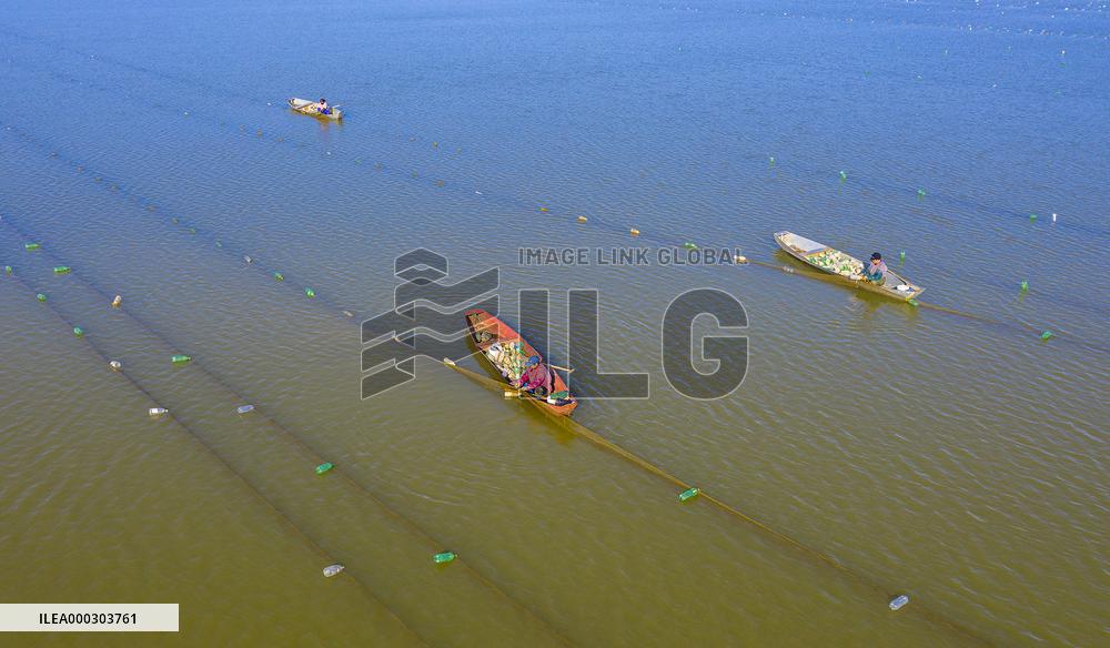 Rural Revitalization Strategy