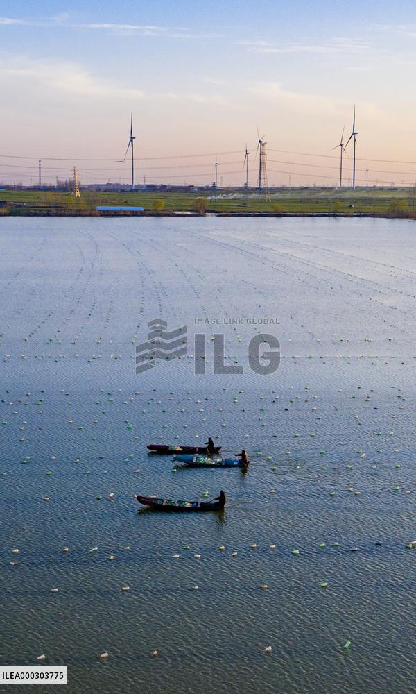 Rural Revitalization Strategy