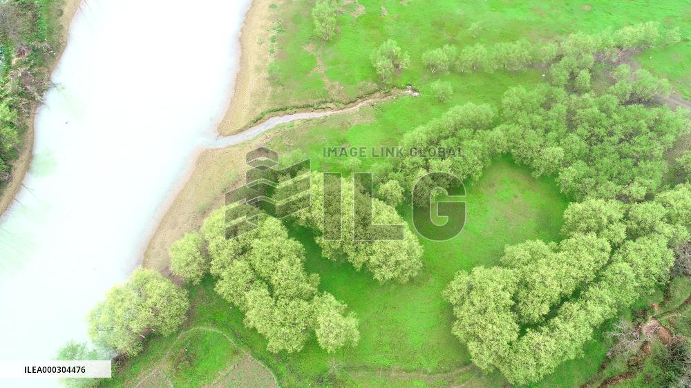 Environmental Improvement in China